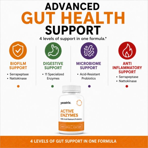 Active Enzymes Advanced Gut Health Support (1200 x 1200 px) Active Enzymes Advanced Gut Health Support (1200 x 1200 px)