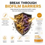 Active Enzymes Break Through The Barriers (1200 x 1200 px)