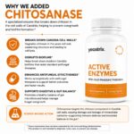Active Enzymes Chitosanase (1200 x 1200 px)