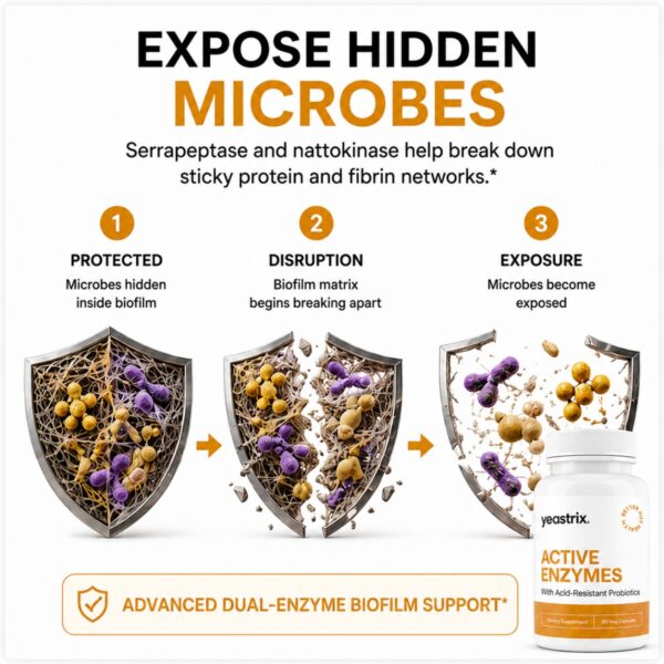 Active Enzymes Expose Hidden Microbes (1200 x 1200 px) Active Enzymes Expose Hidden Microbes (1200 x 1200 px)