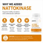 Active Enzymes Nattokinase (1200 x 1200 px)