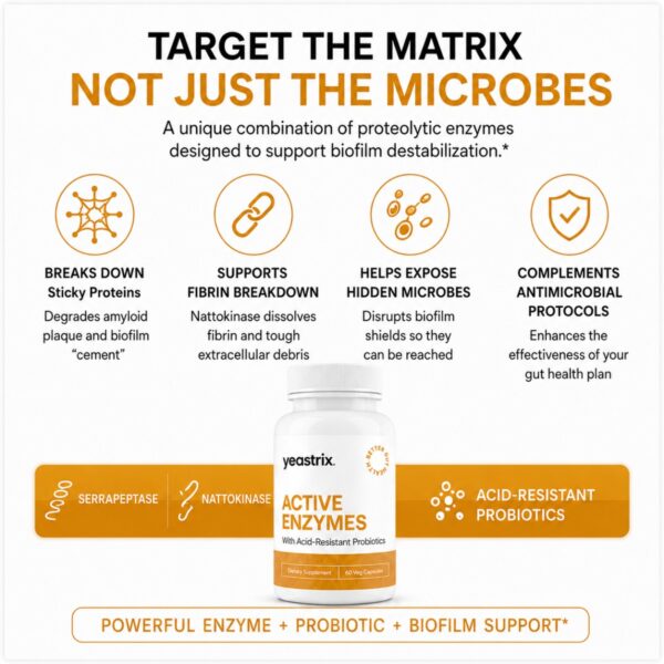 Active Enzymes Target the Matrix (1200 x 1200 px) Active Enzymes Target the Matrix (1200 x 1200 px)