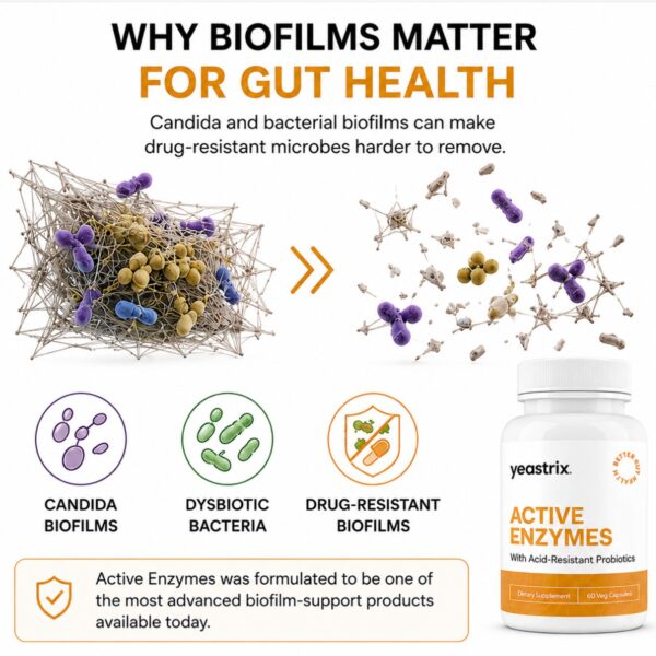 Active Enzymes Why Biofilms Matter (1200 x 1200 px) Active Enzymes Why Biofilms Matter (1200 x 1200 px)