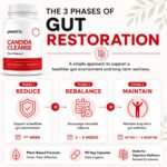 Candida Cleanse The 3 Stages of Gut Restoration