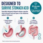 Daily Probiotic Stomach Acid Resistant (1200 x 1200 px)
