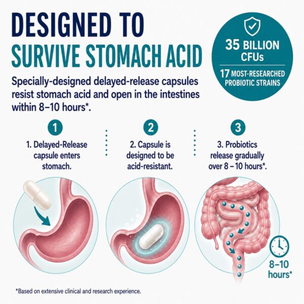 Daily Probiotic Stomach Acid Resistant (1200 x 1200 px) Daily Probiotic Stomach Acid Resistant (1200 x 1200 px)
