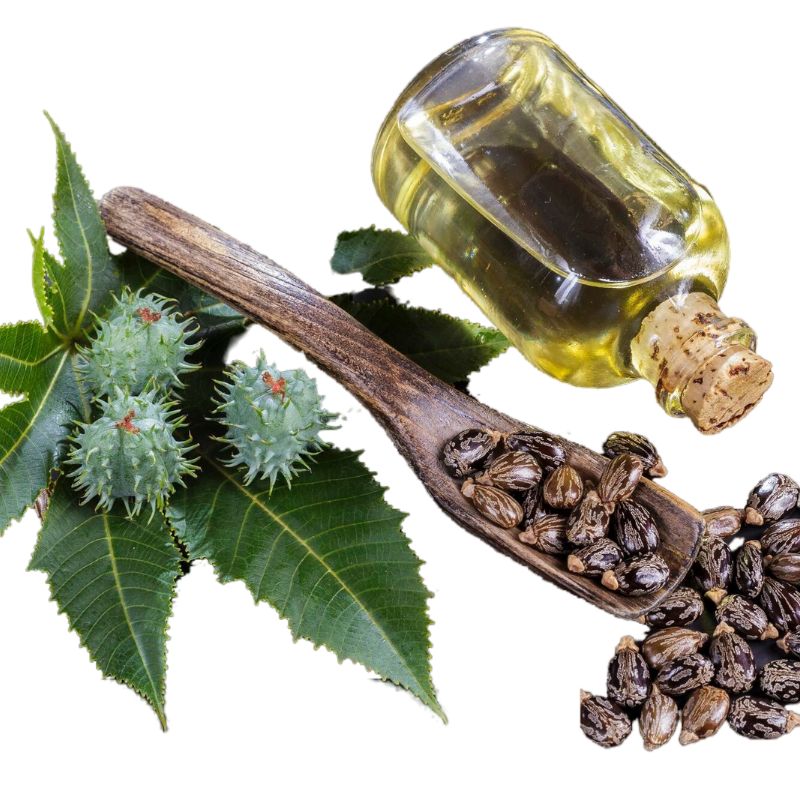 Castor oil bottle, a wooden spoon with castor beans, and green castor plant leaves and fruits on a white background.