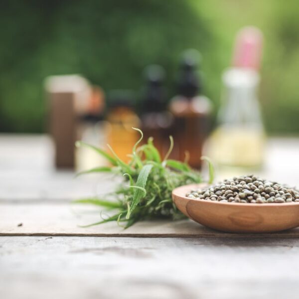 Wooden scoop filled with hemp seeds, with green leaves beside it on a rustic table, blurred background.