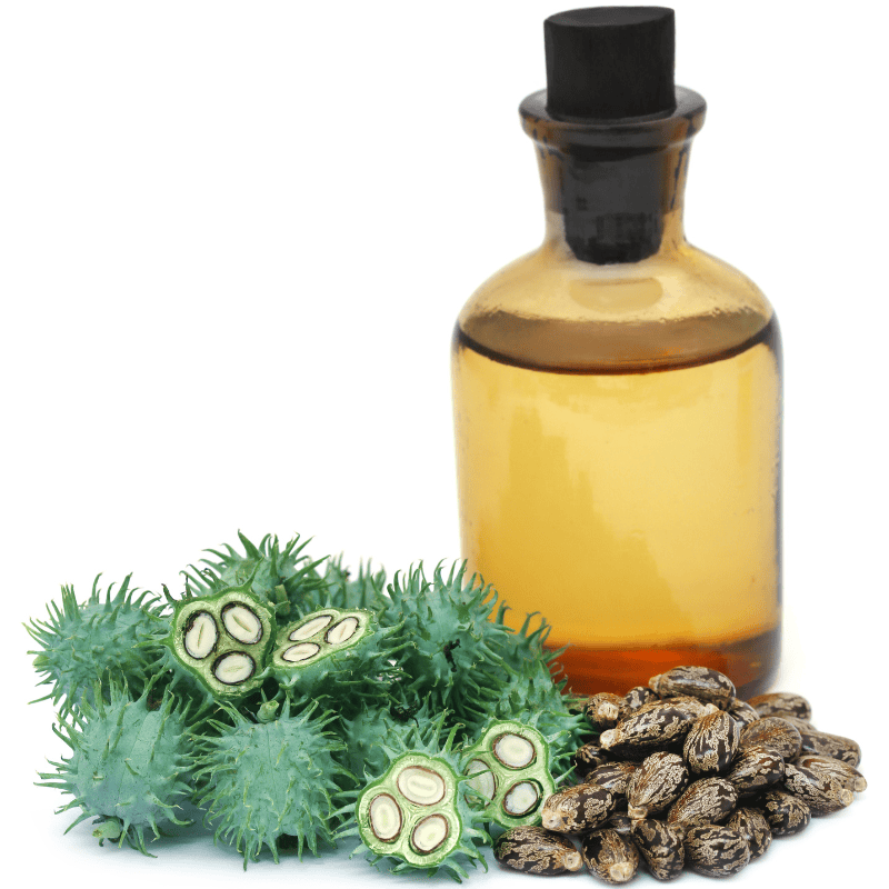 a pic of castor beans, and castor bean oil to depict where undecylenic acid is derived