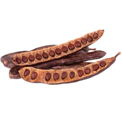 ripe carob pods set horizontally on white background - cacao and the candida diet? Carob is a different plant