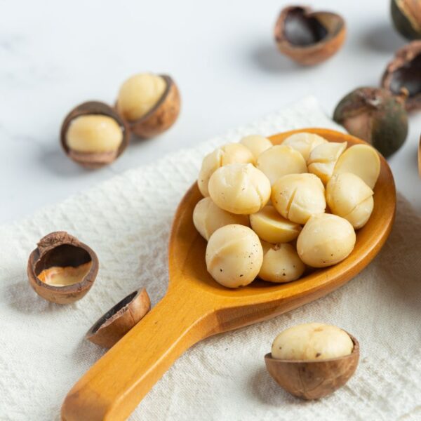 a scoopful of peeled macdamia nuts rests on bench with some other partially peeled around