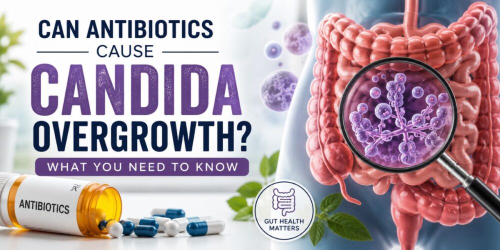 Illustration showing antibiotics, the digestive system, and candida cells, representing the connection between antibiotic use, gut microbiome balance, and candida overgrowth.