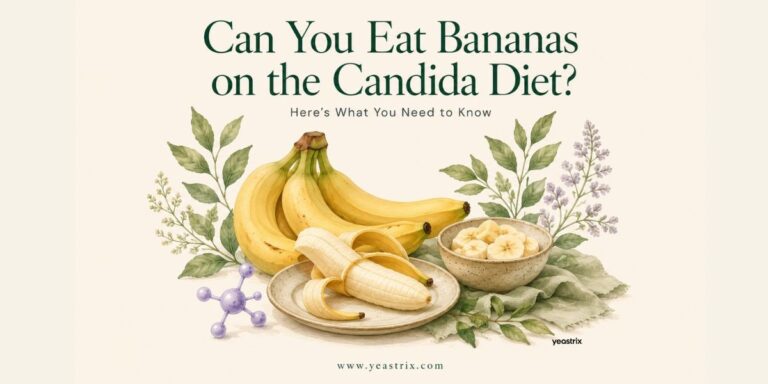 Editorial botanical illustration of fresh bananas with sliced banana in a bowl and natural botanical accents, representing whether bananas can be included on a Candida diet.