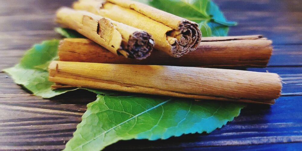 Ceylon cinnamon sticks (Cinnamomum verum) resting on green leaves, illustrating true cinnamon used to support digestive and gut health.