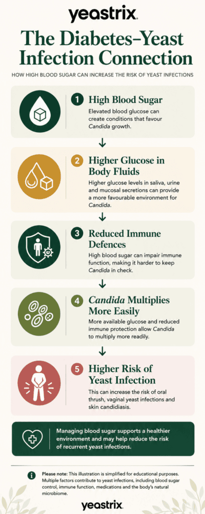 Infographic showing how high blood sugar can increase the risk of Candida overgrowth and yeast infections by increasing glucose availability and reducing immune defences.