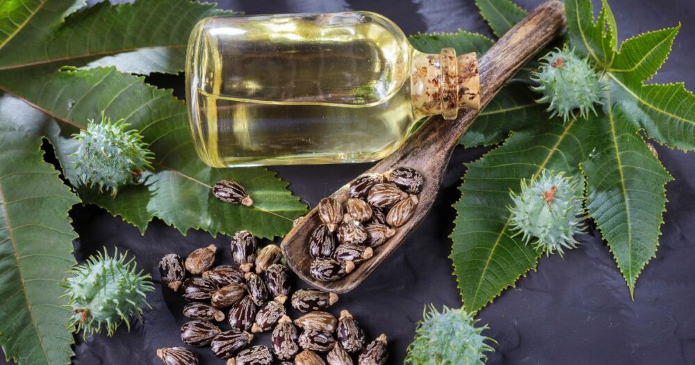 Castor beans, castor leaves and castor oil, the natural source of undecylenic acid used to support digestive health and Candida balance.