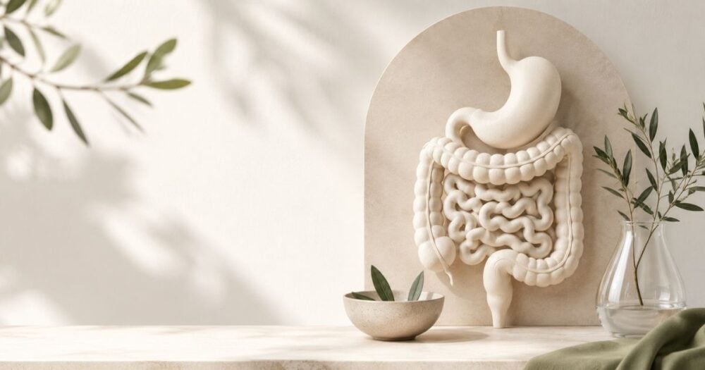 Modern editorial illustration of the human digestive system representing Candida overgrowth, gut health, and the balance of the gut microbiome.